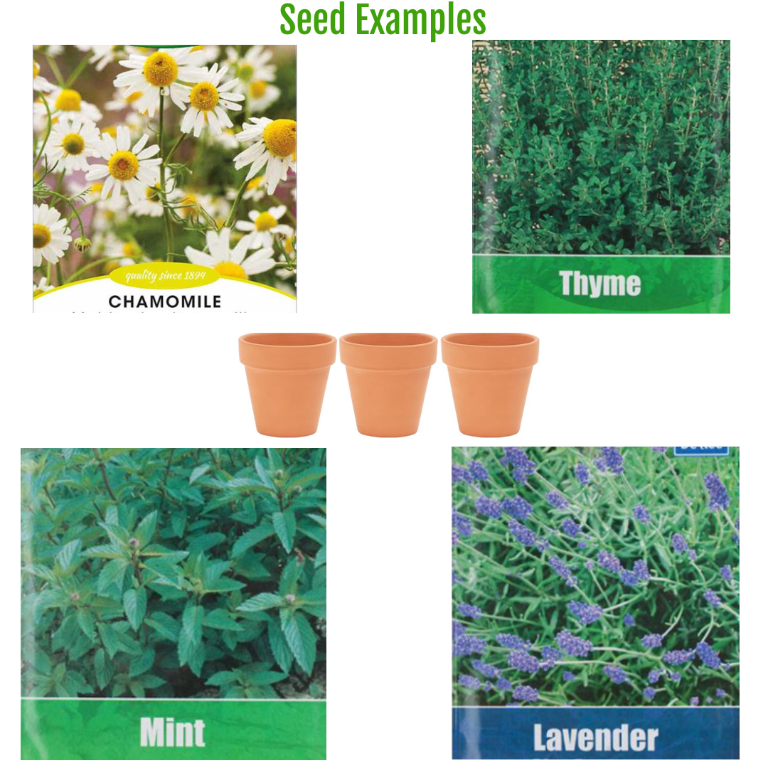 Special Edition: The Springtime Heywood Herbalist Box!