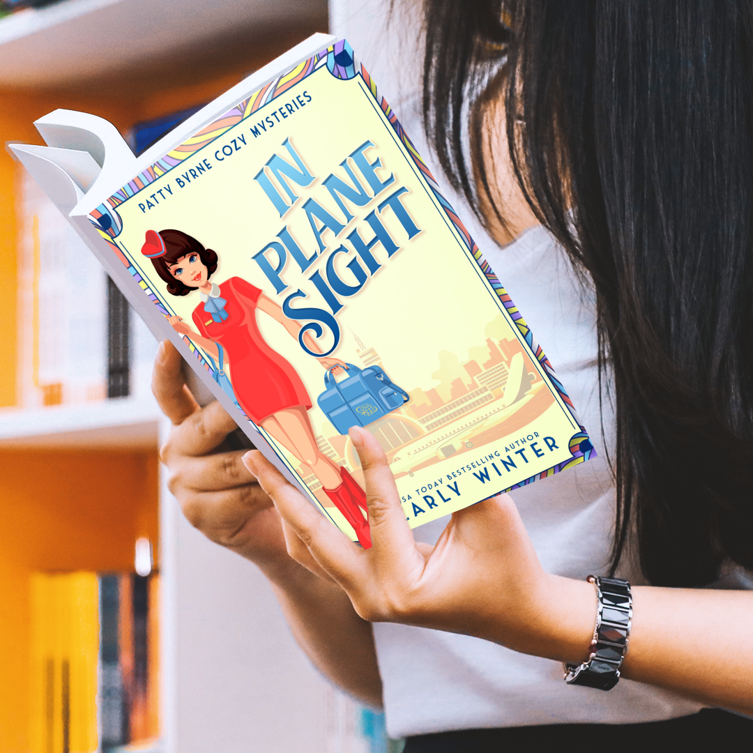 in plane sight by carly winter paperback